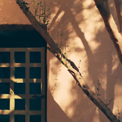 Moments #7 - Dappled Light