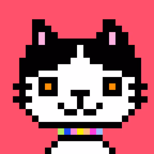 Gazing Thoughtfully Cat