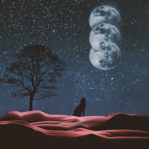 Item #102781401708950370851489815656246829267517745280377136883127843474204283371521 Media