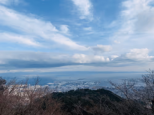 Untitled Collection #301150359