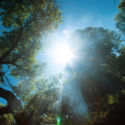 Item #9120212916765116150568675881713414537423652719211967924258503631995356053505 Media