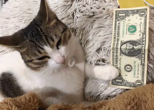 Item #87936365084545024922954846266013406485791365954799981050467889689391223799809 Media