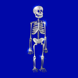 102645680915085178301029970634662228210820286068593304401659775725986711076867