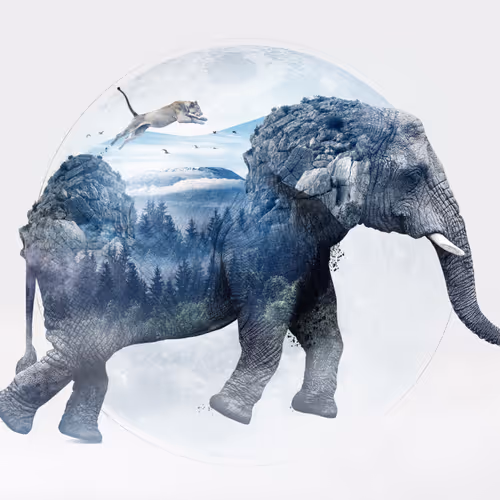 Untitled Collection #161633425