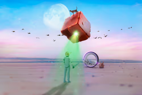 Item #10286067785987397475695861072081322574050251842707954506251798422040732499969 Media