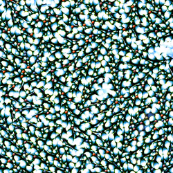 2807211227970753094502405668608491016000177280909678085042862518594149810177