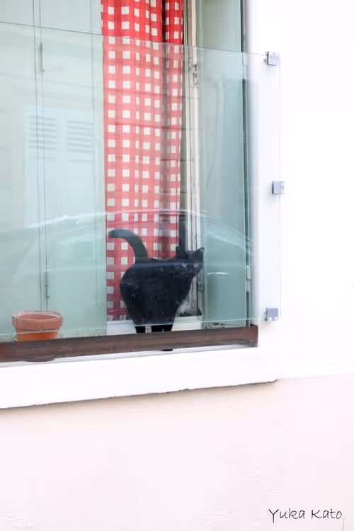 Item #111326101478107214990251795731047965840392207690526379209547236971891551895553 Media