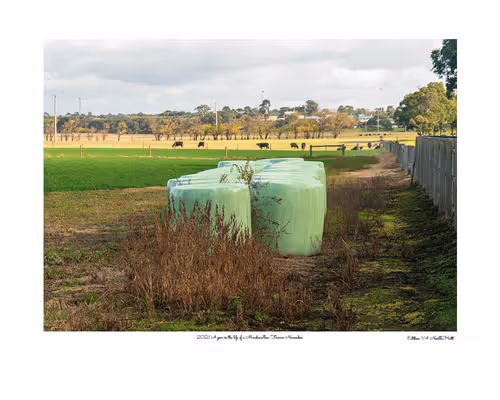 Item #24600310660482288606297797528155087939323639147399647196853483704012446367745 Media