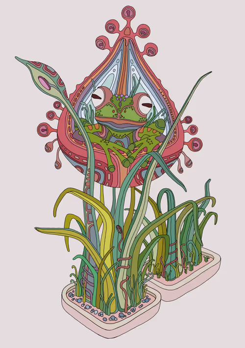 Item #44212596684720901552345810120816685475612880654855875048046738162004132888581 Media