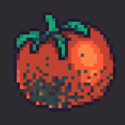 Moldy tomatoes 