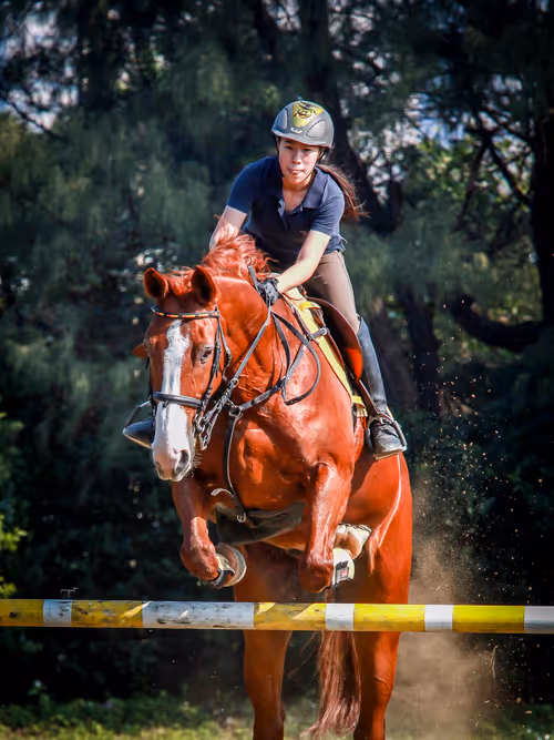 Item #15286439154353413258560728673590493507949724092509999987352070385687632805889 Media