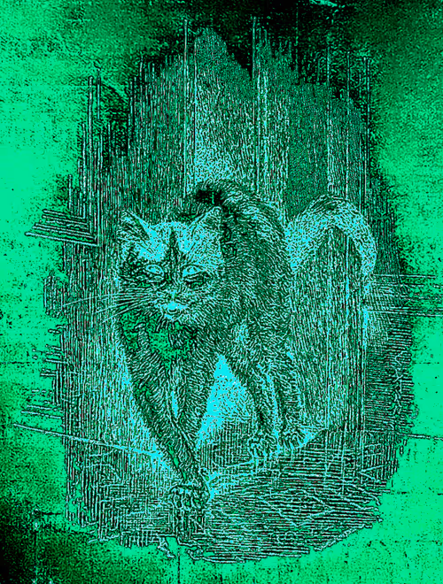 Item #35247308013863639916483757756408588227786114589757564733366544643008631930910 Media