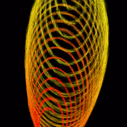 Light Spins Away