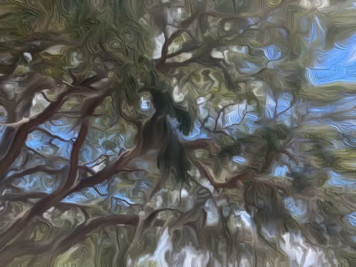 Item #24641453839621982763882949117927398230661196561047831968327781236516226859009 Media