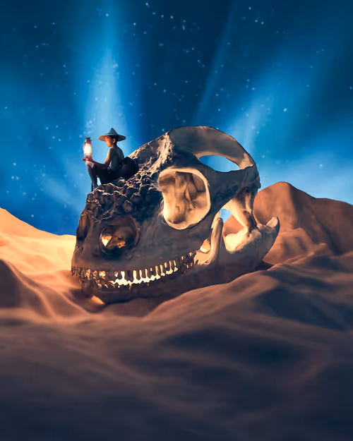 Item #21416361003760002990150949561959734604214414335970130450761434043869466460161 Media