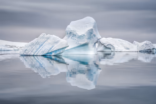 Item #41168216075356421475418355440995855194174491926388925330776099975344271917057 Media