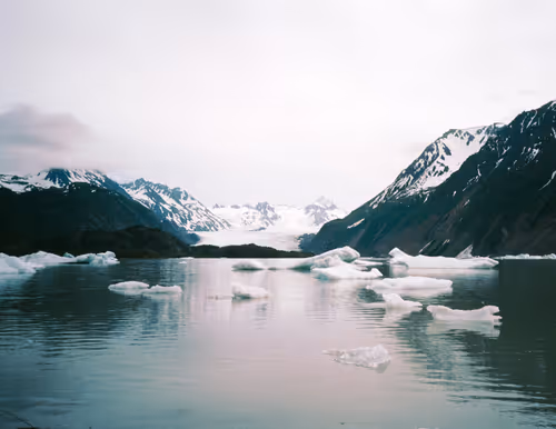 Item #86204936525623062478772312076709802278598486618652010465124009072413517021185 Media