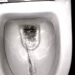 12660136923828748263426703316480839463053827608546839420335323805209063325697