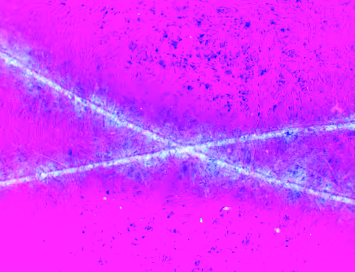 Item #71646257518770613568983710813551014237803002136866425209291834335256842862593 Media