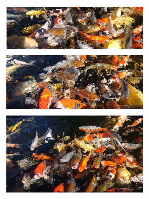 Item #74897159549861964643456459151095158543386453038678965139265938681054109892609 Media