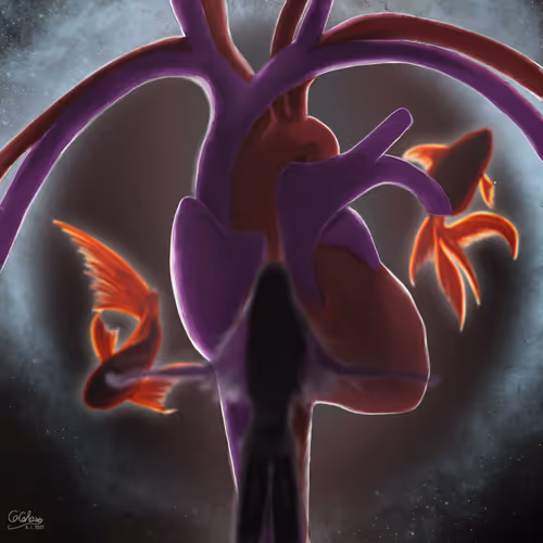 Cocohare Anatomy Art