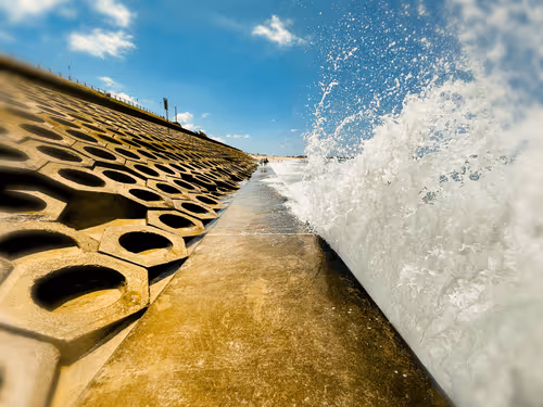 the Wave Forward v1.0