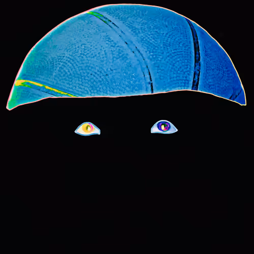 Imlosingmymind
