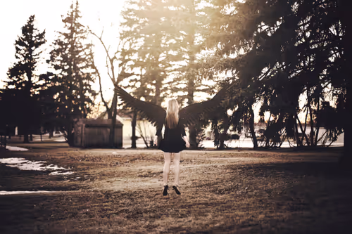 Item #64274873262107114504721973997955312169108596611344264208344202381941291352065 Media