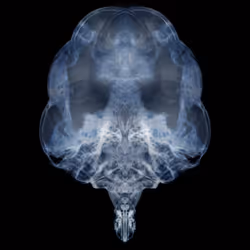 85859191866638808365331437874953228966785819470149775310971062030063342977025