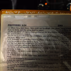 Proverbs 3:24