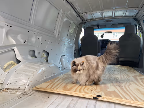 Item #88063557034118437660925886446302507819426649905583175627315428988296187871233 Media