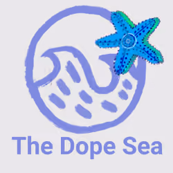 The Dope Sea Starfish Membership