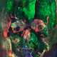 11749633182704464490049201082660526269763578826468516076382858298872748310544