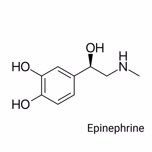 Item #64732396481221425237779336604136247156647002150051219445300180835936130564097 Media