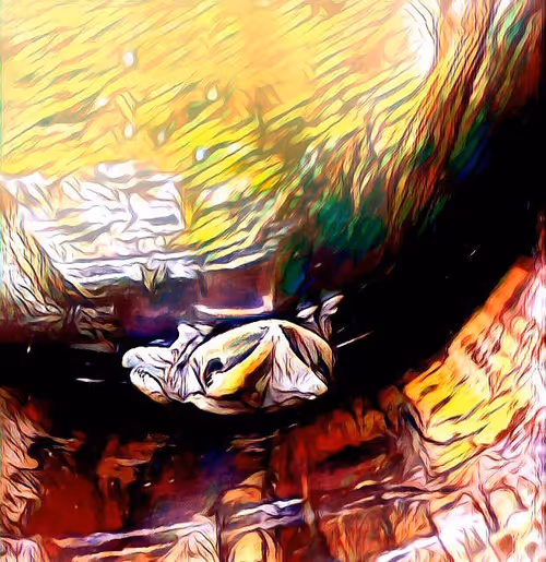 Item #81269833061274051173789884418282317830923519221172308843662164499962771013633 Media