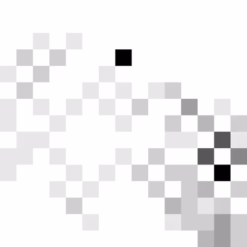 Item #92233378396312785929436279841154964177106443489609680198997036949436543008769 Media