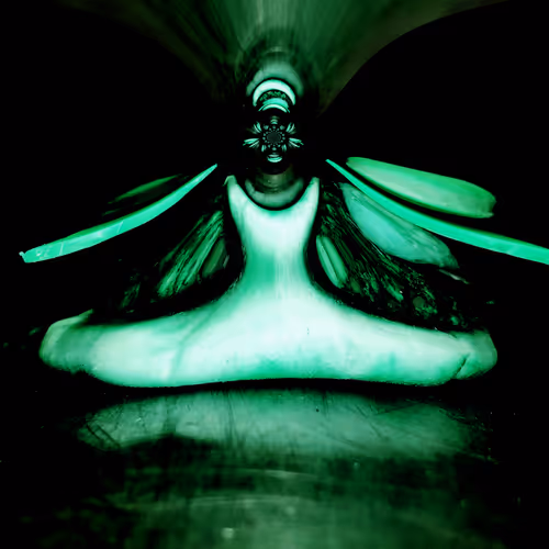 Mirroruniverse