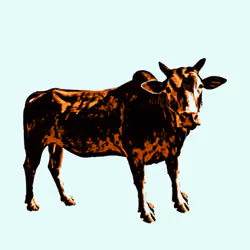 AM04
