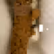 2850415134272365380187775685678842410458265265709128331682257577744026042369