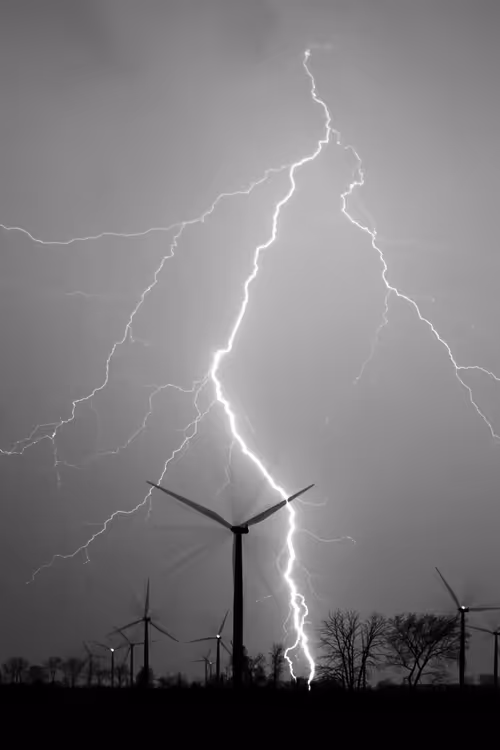 Item #76753609557618040316569819233018688954602367077882329360874187574205411753985 Media