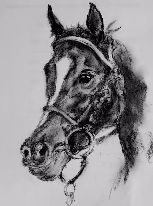 Item #53203693931106029938194756988314210118535030359194092002990361527160630411265 Media