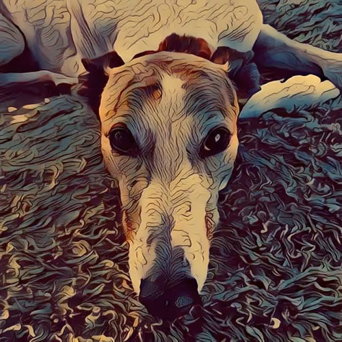 113233535435930126246803406212525192330824104616936385021501681210008618926081