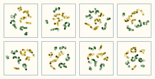 Item #107937117699900001194099939943306584939867407144504846123696048339969177026561 Media