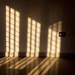 Expressive Shades #4