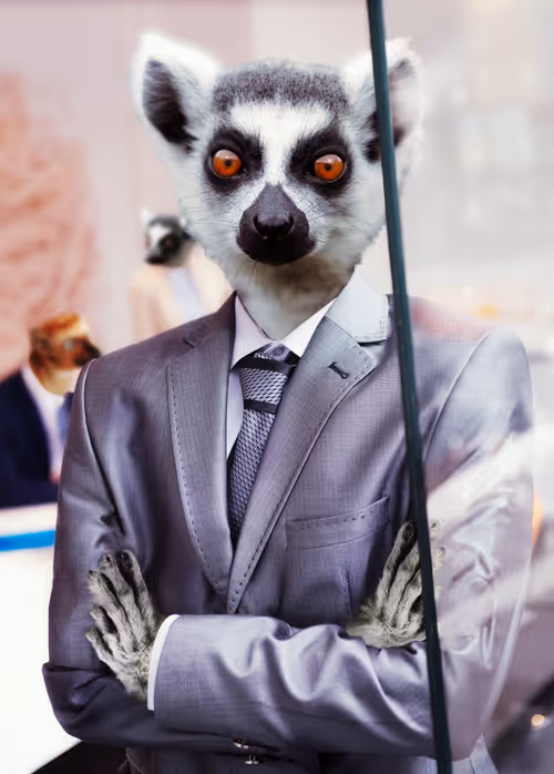 Item #36836811362522670824259516961817306371595381663714079495581083206891650154497 Media