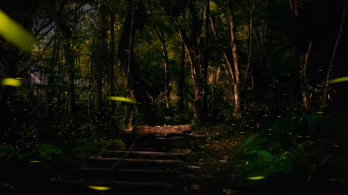 Item #95959012453955808613832479973622577136633073977995899638249620756240414015489 Media