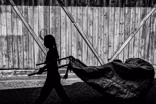 Item #65021923281382677709857675602610838181594945285556120582948573376490820861957 Media