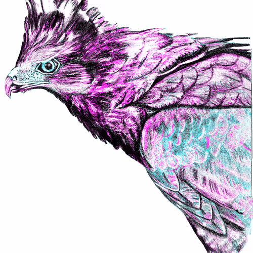 Hawk(bp)