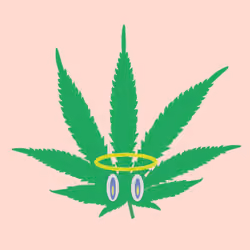 104821401040006478038507631251608027977995644209085336403083643517839075180545