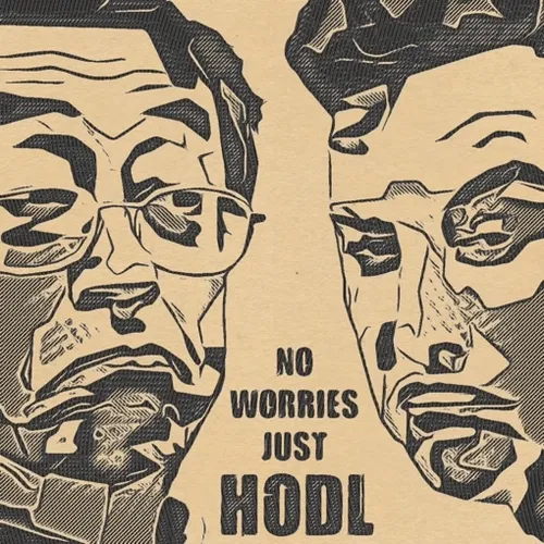 No Worries - Just Hodl No.5 Elon Musk & Satoshi Nakamoto